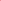 E-Gift Card - Pavia Flowers