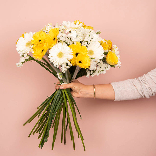 Dream Gerbera Bouquet - Pavia Flowers