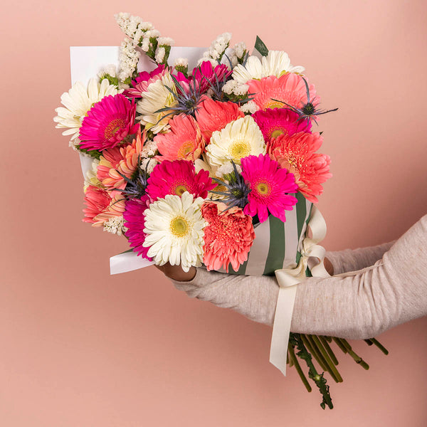 Gerberas' Fest - Pavia Flowers